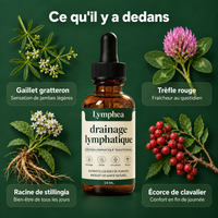 Lymphea — Drainage lymphatique