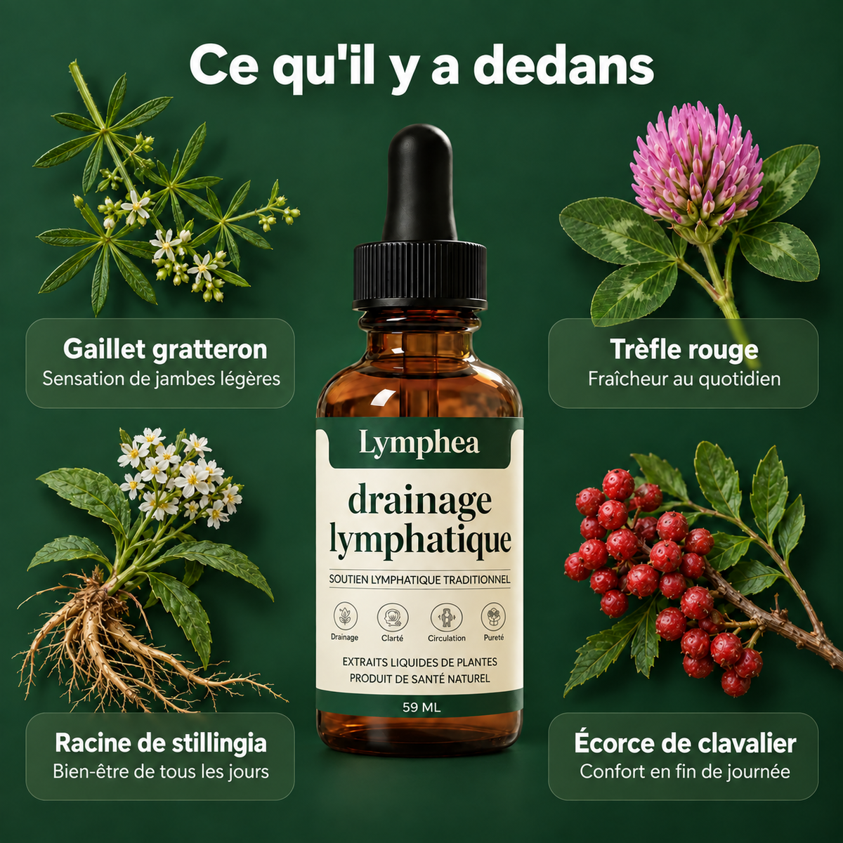Lymphea — Drainage lymphatique